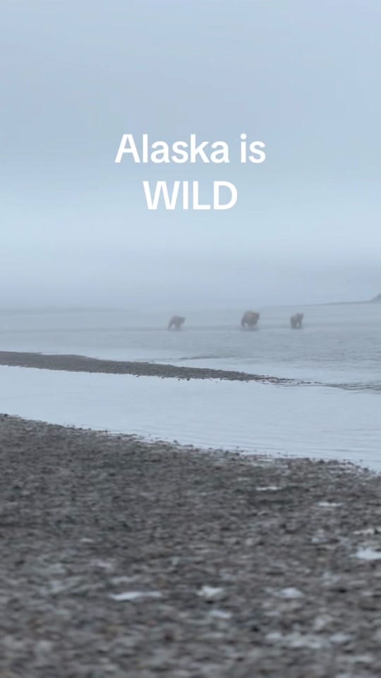 Post 2 by Cherry in Alaska on TikTok (video)