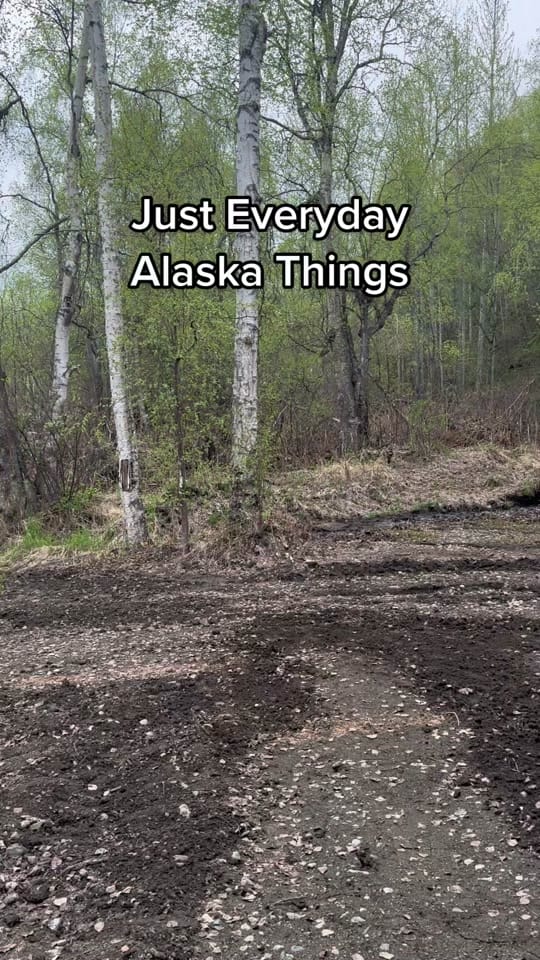 Post 6 by Cherry in Alaska on TikTok (video)