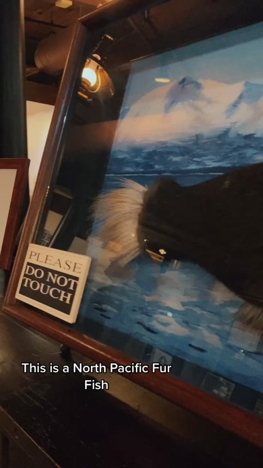 Post 8 by Cherry in Alaska on TikTok (video)
