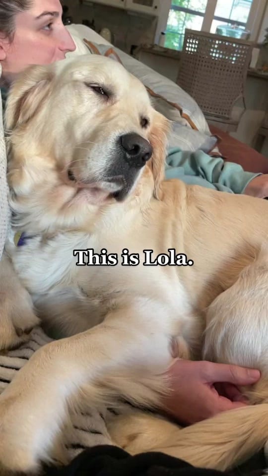 Post 7 by Emily Fazzini on TikTok (video)