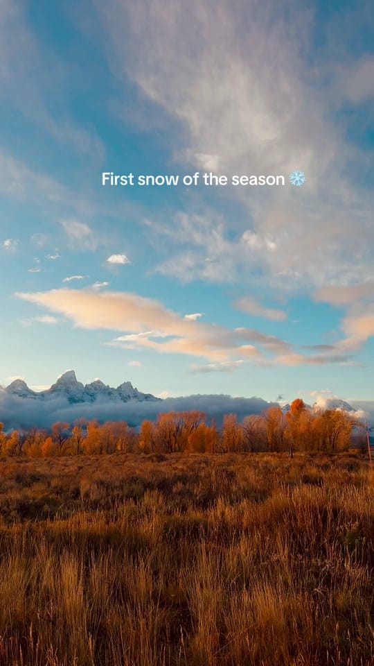 Post 5 by Brooks Curran on TikTok (video)