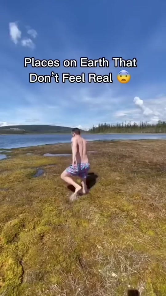Post 4 by dannytrz on TikTok (video)