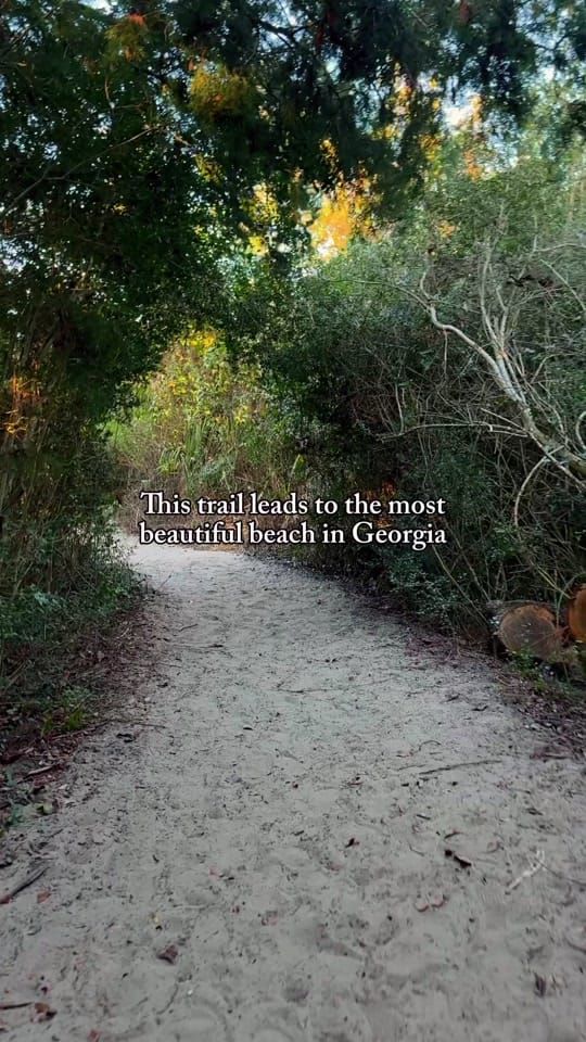 Post 7 by chels and sam on TikTok (video)