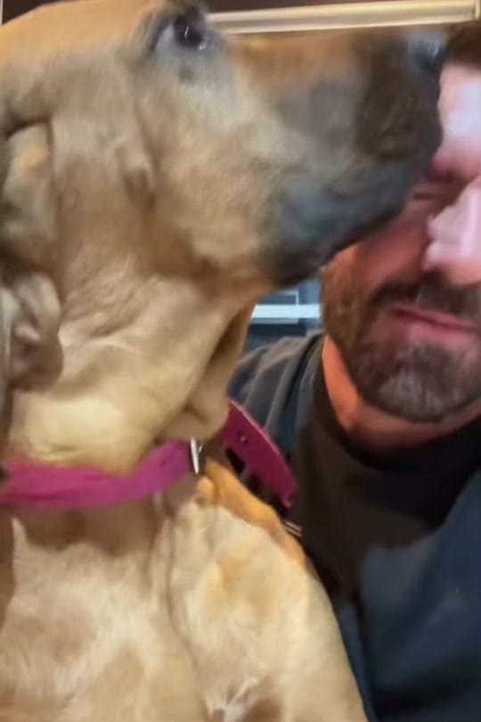 Post 3 by Joe  Randallo on TikTok (video)
