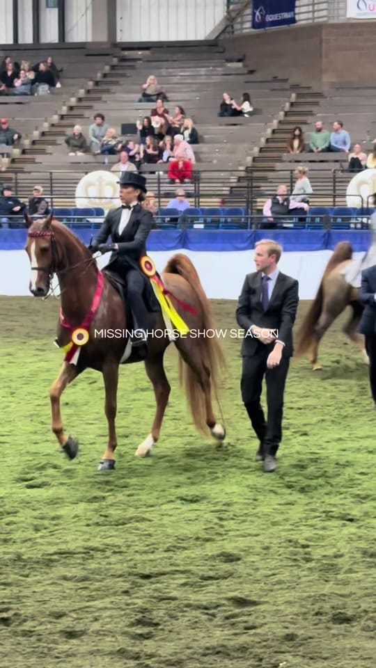 Post 6 by Sara Spaulding on TikTok (video)