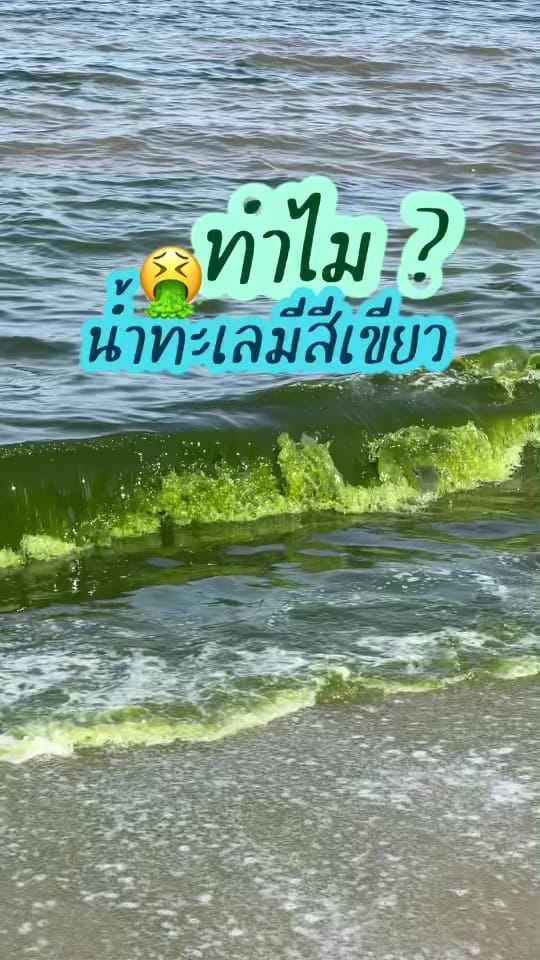 Post 10 by #เพียว ที่แปลว่าบริสุทธิ์อ่ะ on TikTok (video)