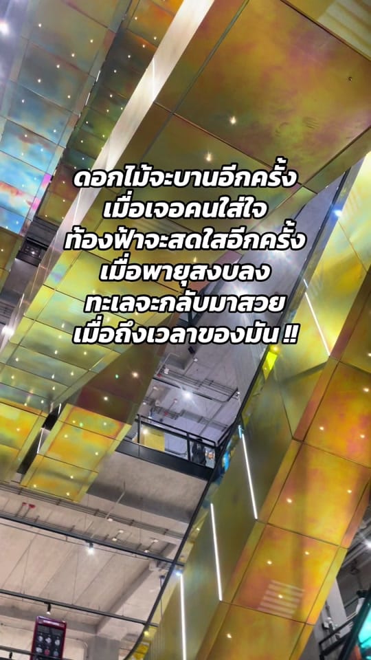 Post 6 by #เพียว ที่แปลว่าบริสุทธิ์อ่ะ on TikTok (video)