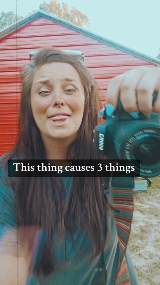 Post 7 by Ashley Hale on TikTok (video)
