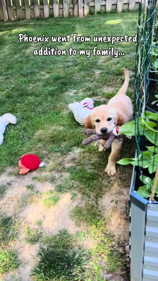 Post 7 by Mandy ⭐️✨ on TikTok (video)
