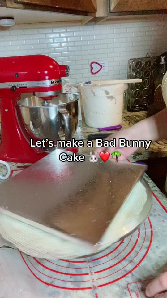 Post 9 by Araceli Salazar on TikTok (video)