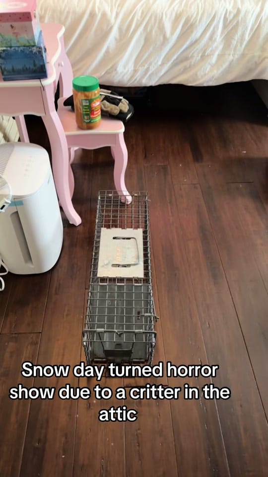 Post 5 by .jaclynedwards on TikTok (video)