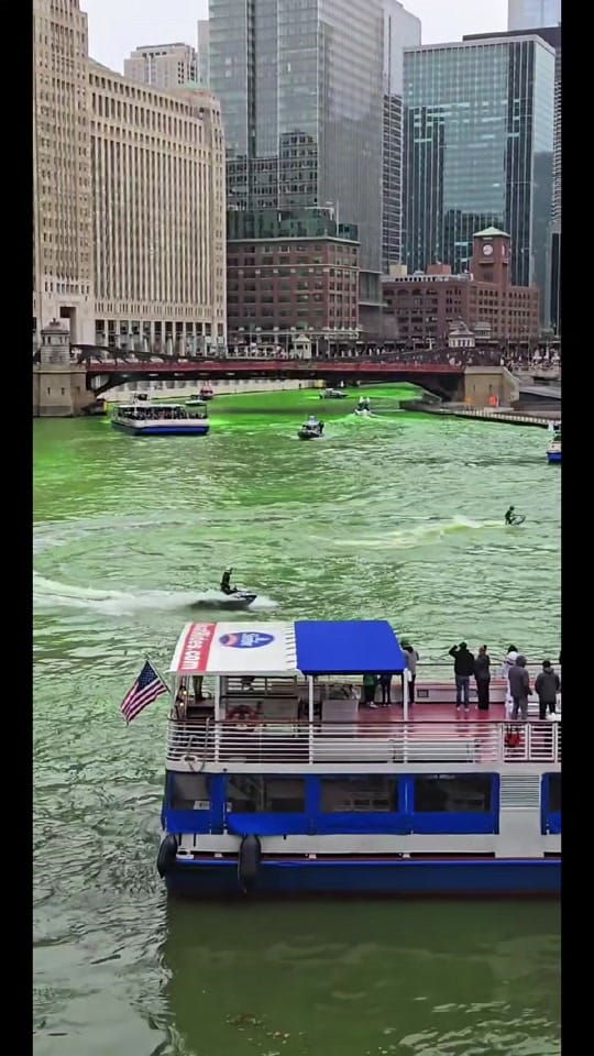 Post 6 by brianreally on TikTok (video)