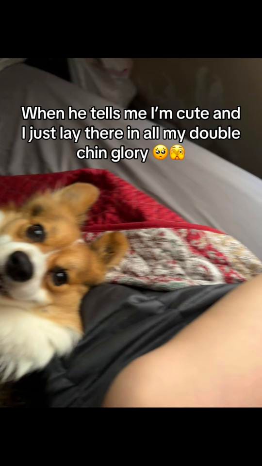 Post 4 by Michelle on TikTok (video)