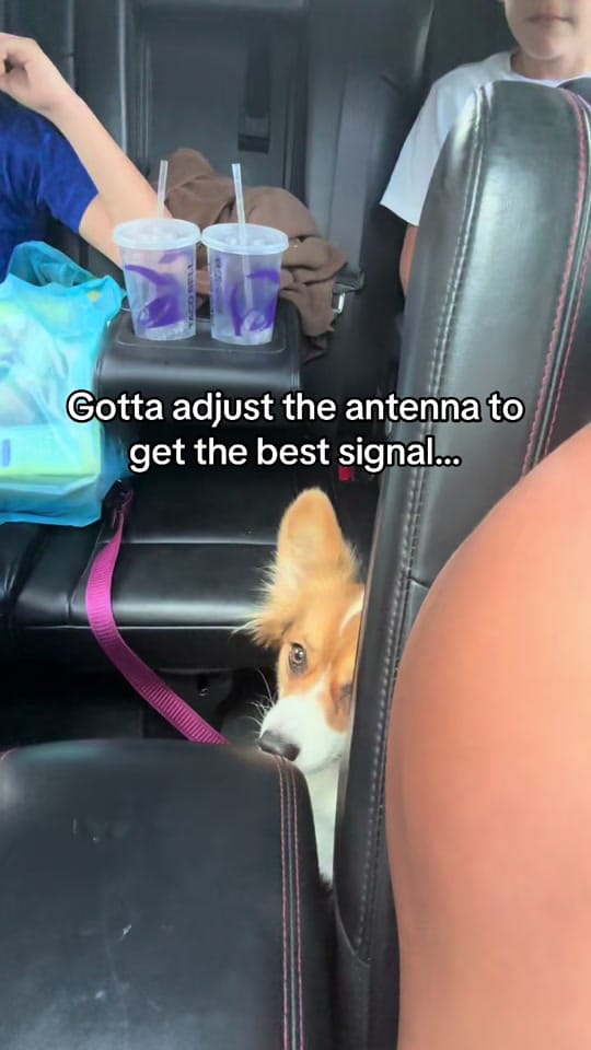 Post 5 by Michelle on TikTok (video)