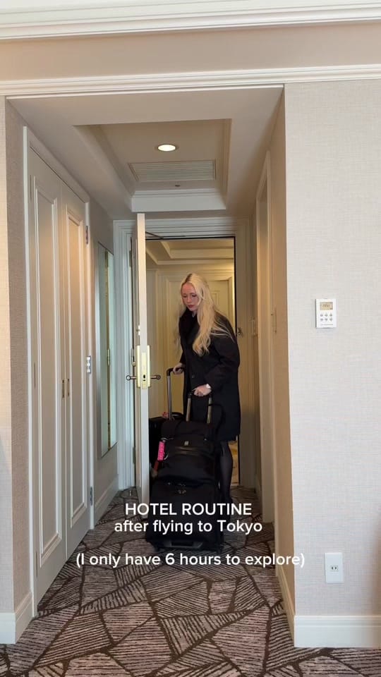 Post 2 by Yana✈️Flight Attendant on TikTok (video)