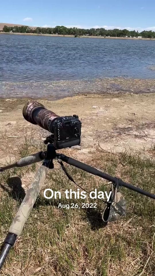 Post 5 by Brian Genge on TikTok (video)