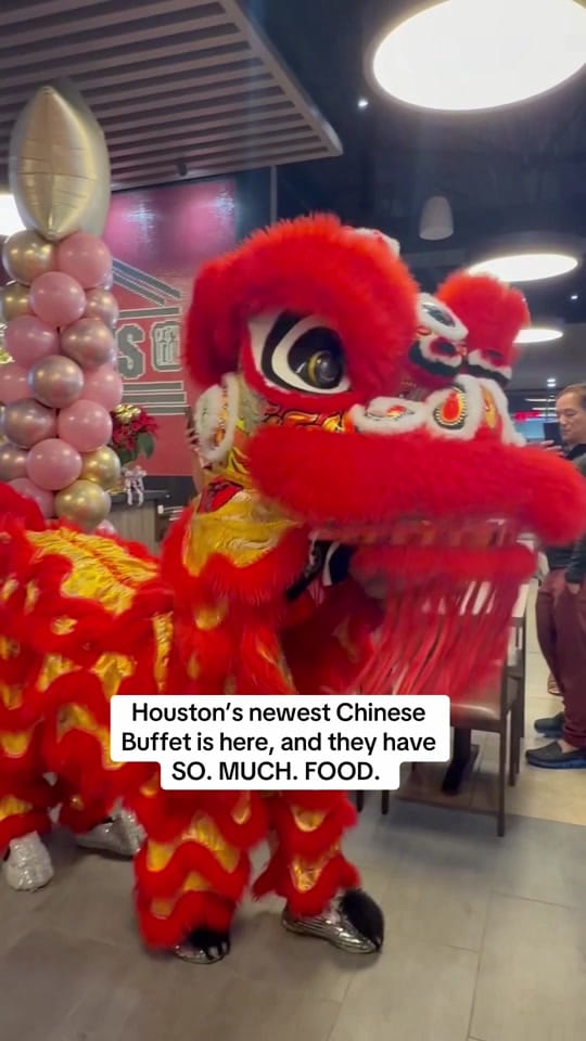 Post 5 by Houston Adventures with Kids on TikTok (video)