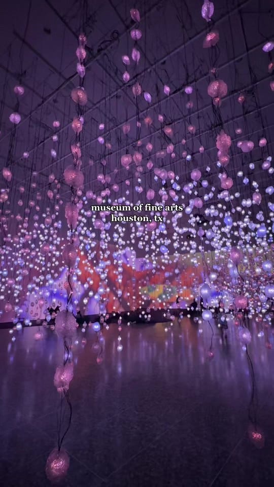 Post 9 by joy lu on TikTok (video)