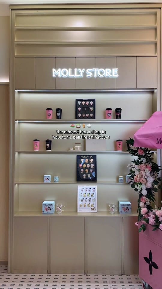 Post 3 by joy lu on TikTok (video)