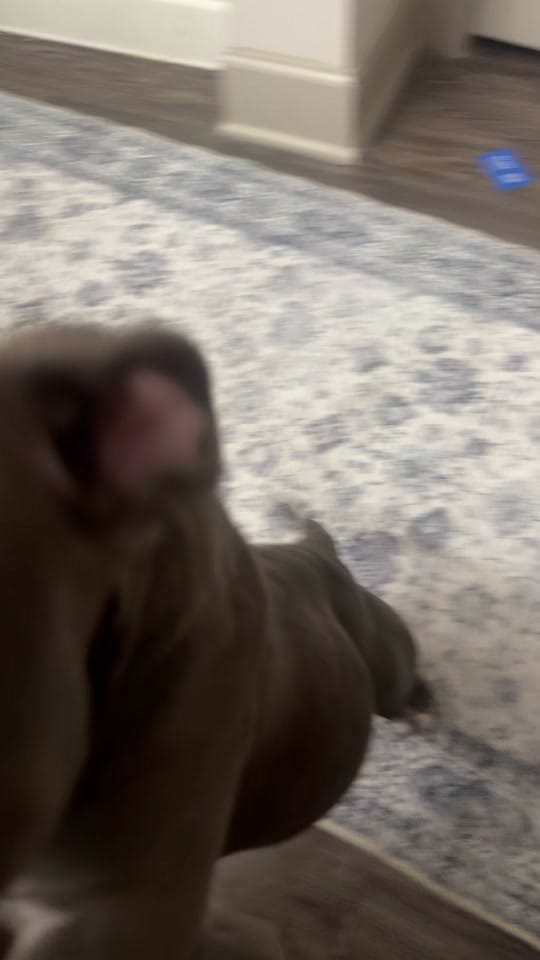 Post 9 by itsmelante | BEAUTY & FASHION| on TikTok (video)