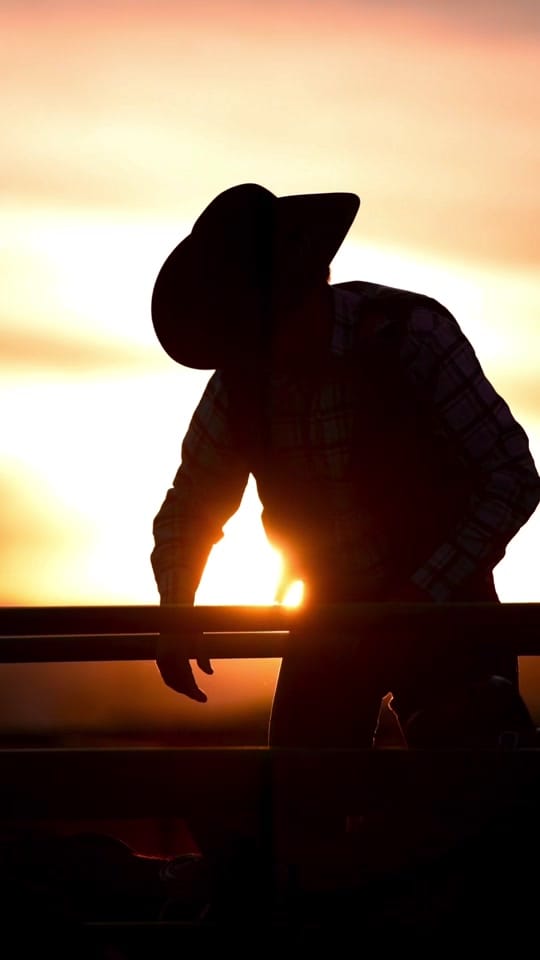 Post 1 by Lane Equine Photography on TikTok (video)