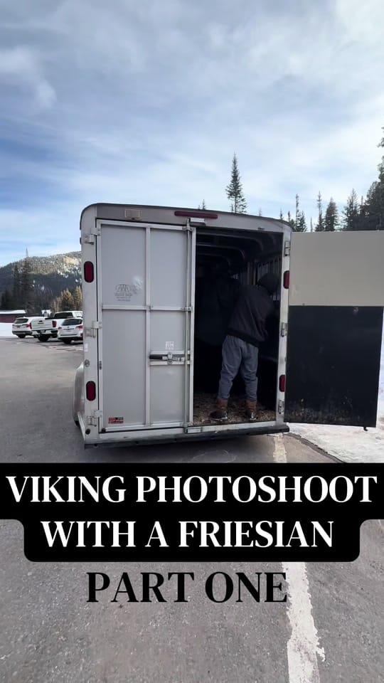 Post 5 by Lane Equine Photography on TikTok (video)