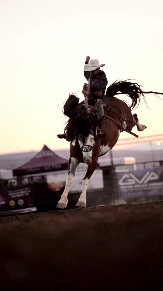 Post 8 by Lane Equine Photography on TikTok (video)