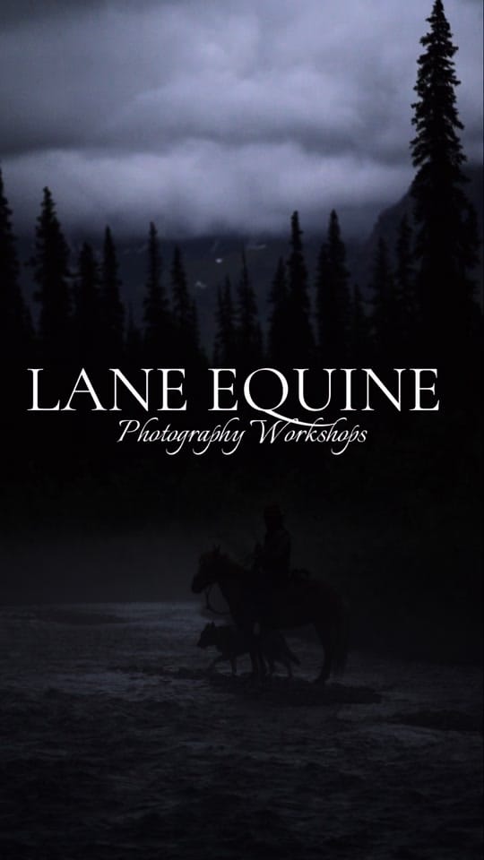 Post 7 by Lane Equine Photography on TikTok (video)