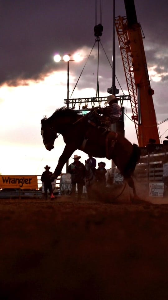 Post 10 by Lane Equine Photography on TikTok (video)