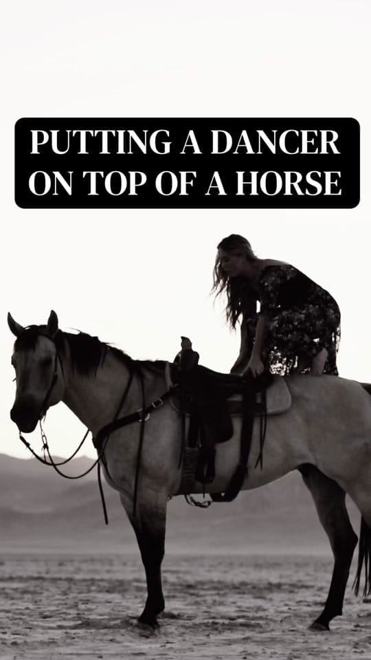 Post 4 by Lane Equine Photography on TikTok (video)