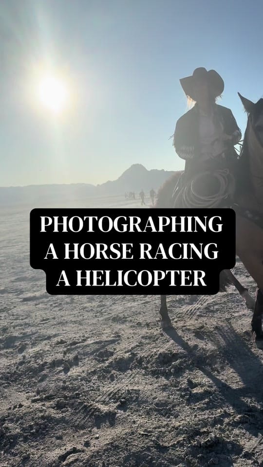 Post 3 by Lane Equine Photography on TikTok (video)