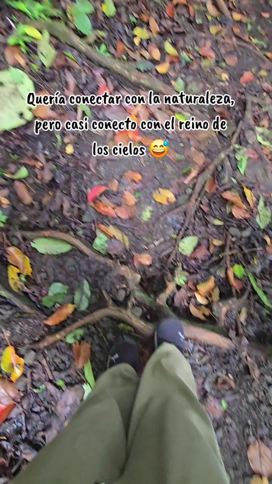 Post 8 by Adilene Acosta on TikTok (video)
