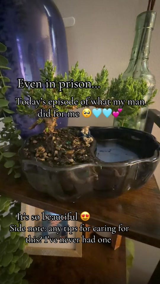 Post 6 by joᥴᥱᥣყᥒᥒ 🎀 on TikTok (video)