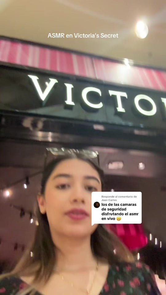 Post 10 by L i z z e t h ASMR 🐑 on TikTok (video)