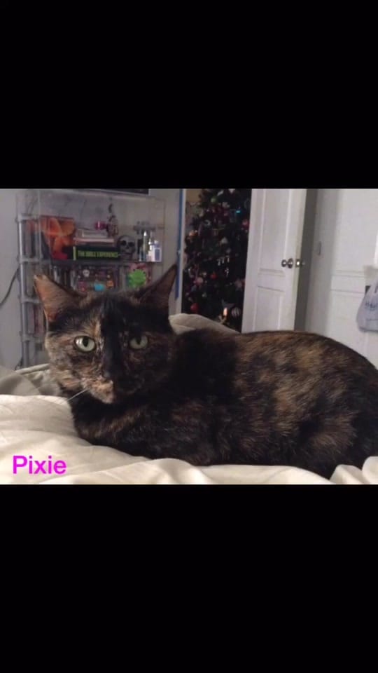 Post 2 by Becca on TikTok (video)