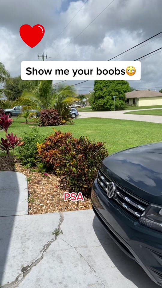 Post 10 by LaurieK59 on TikTok (video)