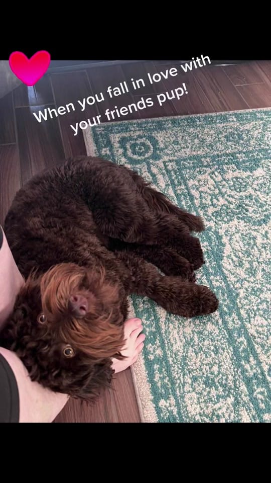 Post 6 by LaurieK59 on TikTok (video)