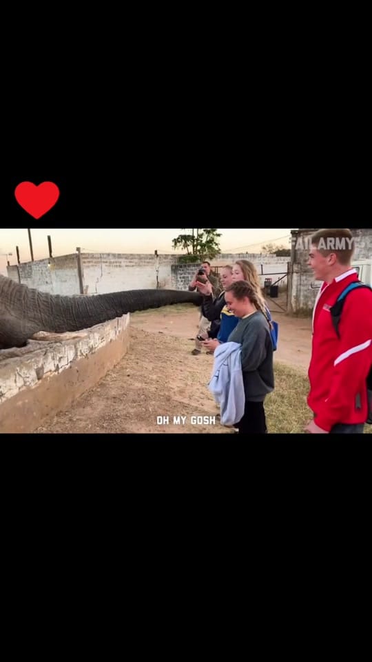 Post 9 by LaurieK59 on TikTok (video)