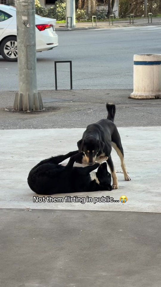 Post 5 by Austin on TikTok (video)