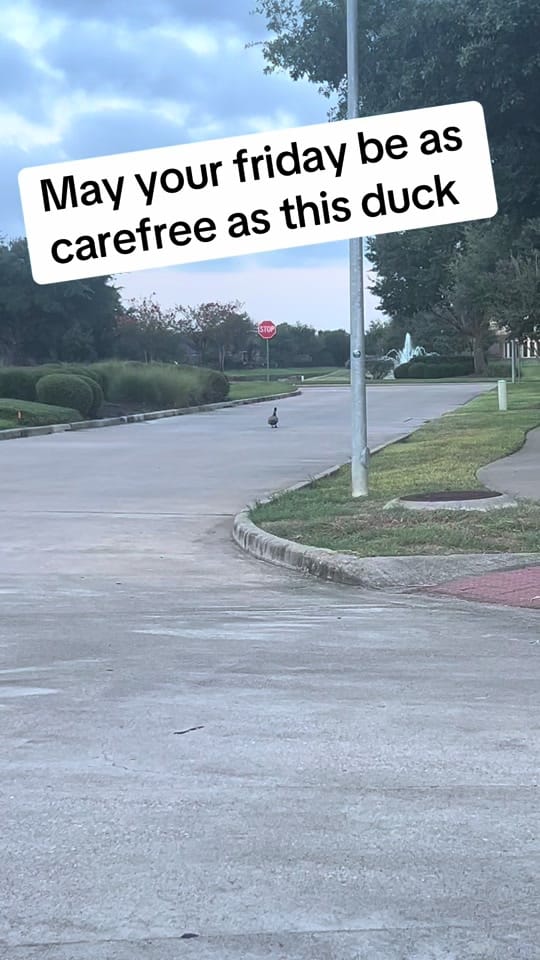 Post 1 by Jacy Claybaker on TikTok (video)