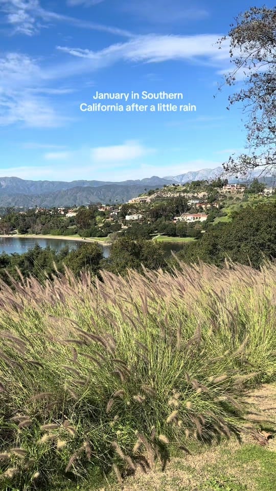 Post 7 by Jeanette Matlage on TikTok (video)