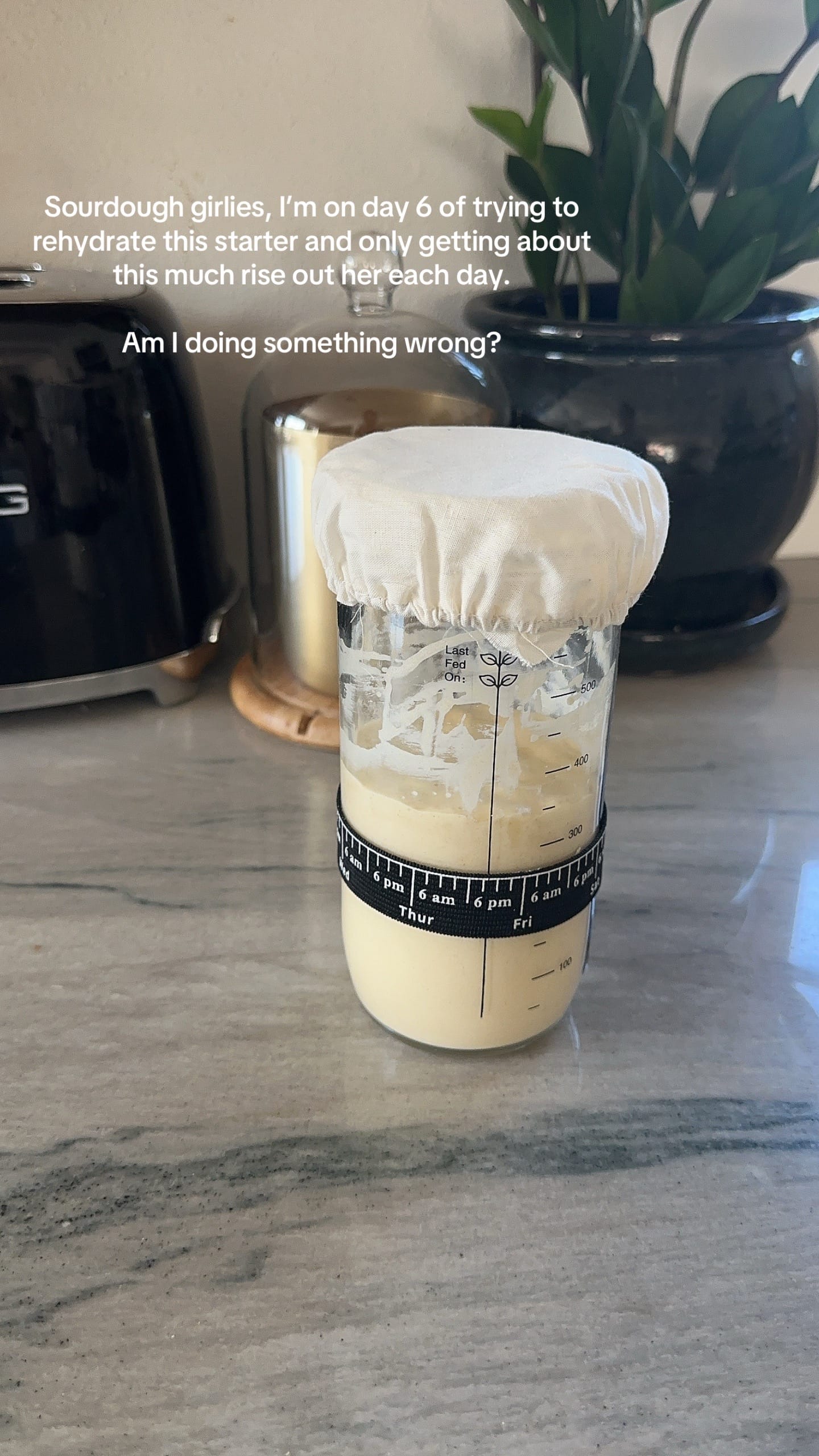 Post 2 by Jeanette Matlage on TikTok (video)
