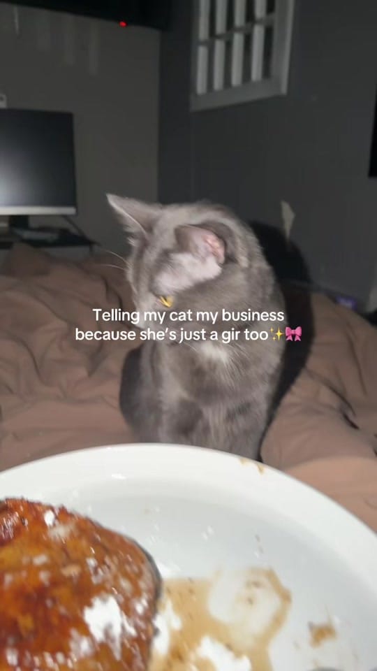 Post 3 by SwiftAF89 on TikTok (video)