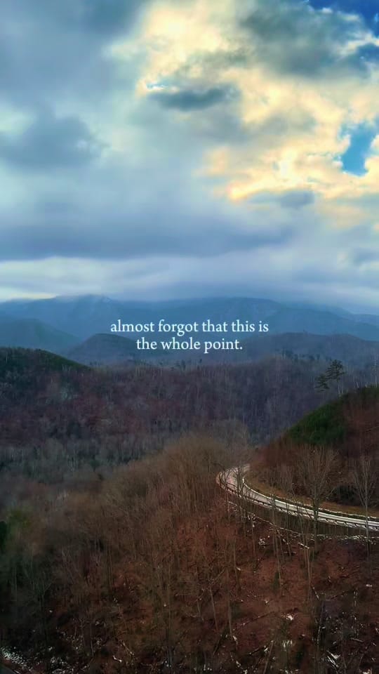 Post 5 by SwiftAF89 on TikTok (video)