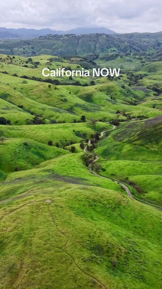Post 5 by olha_kotova on TikTok (video)