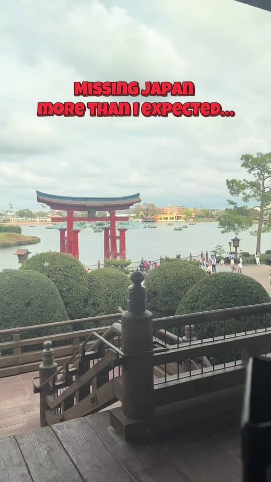 Post 7 by FAMILY TRAVEL TIPS 📍39k on TikTok (video)