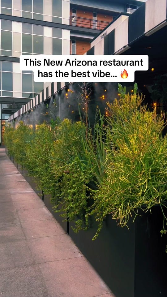 Post 3 by placeinsider on TikTok (video)