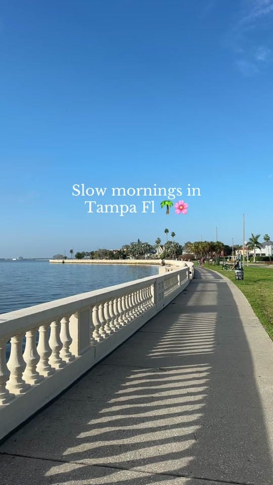 Post 2 by Elloise Clements on TikTok (video)
