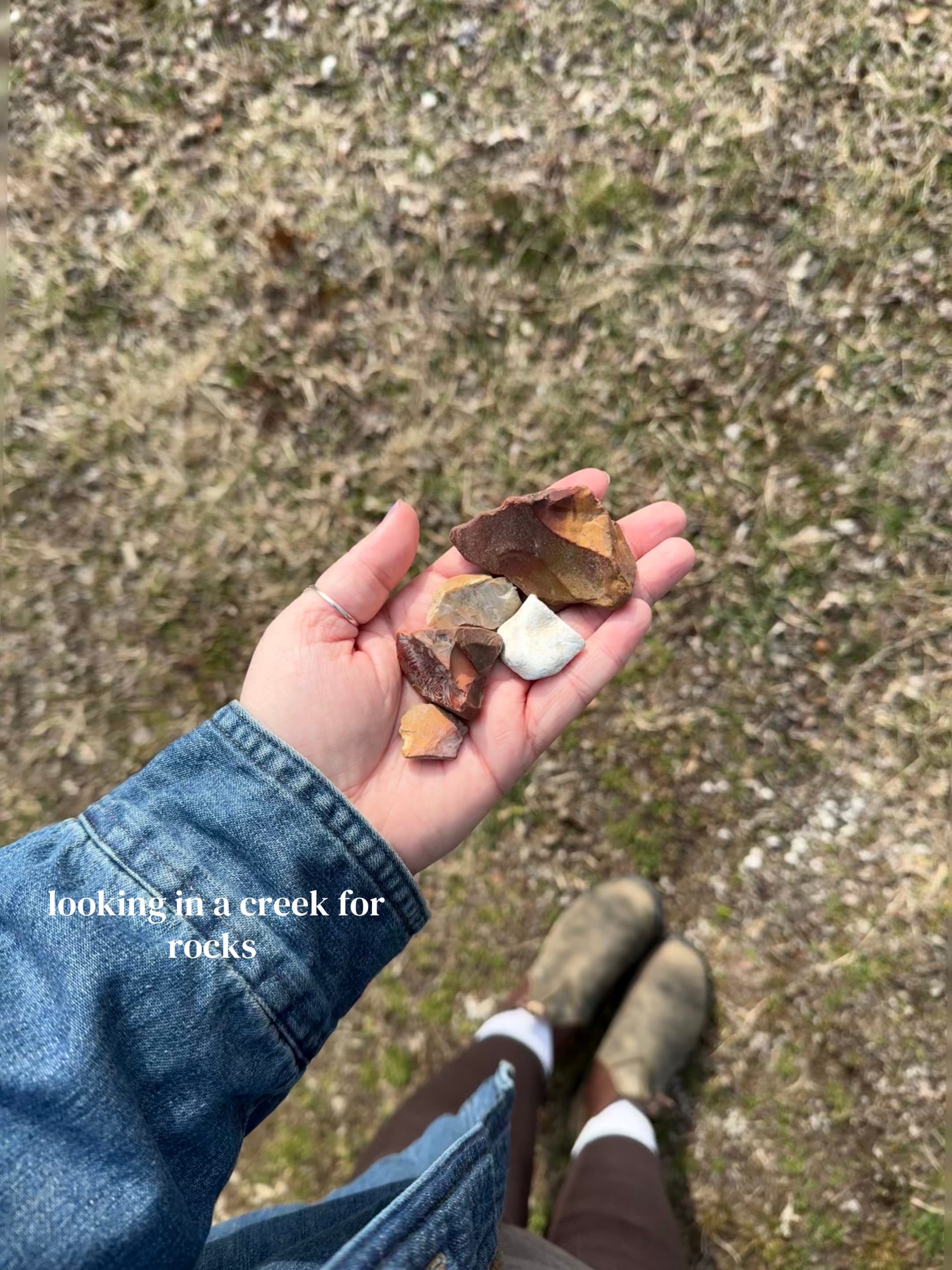 Post 7 by cass on TikTok (video)