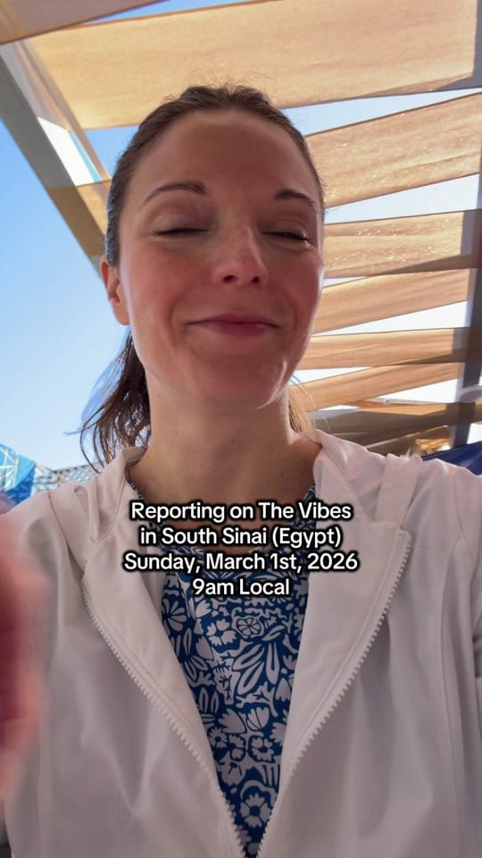 Post 6 by AllieGoneAway on TikTok (video)